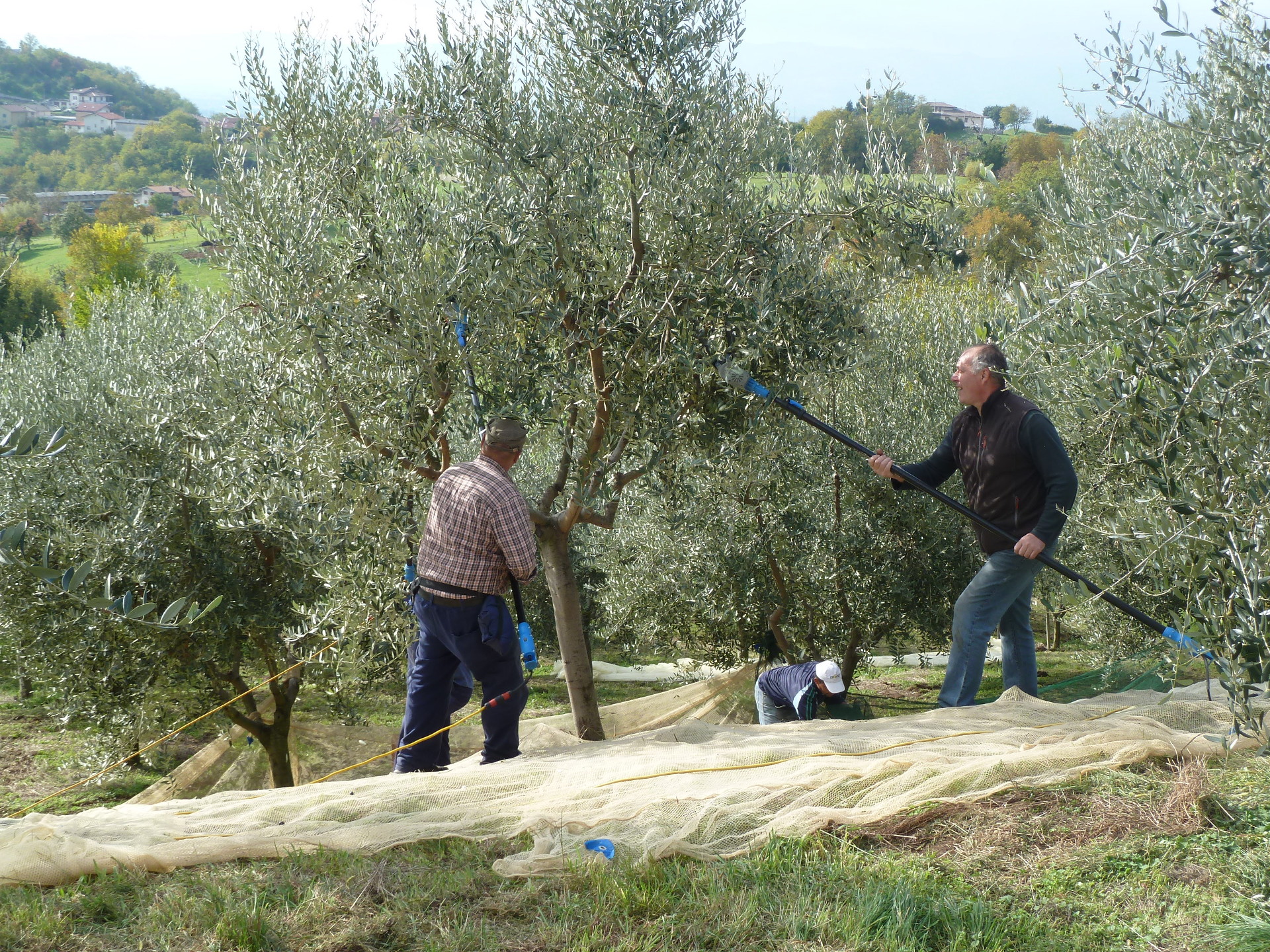 Raccolta Reti
