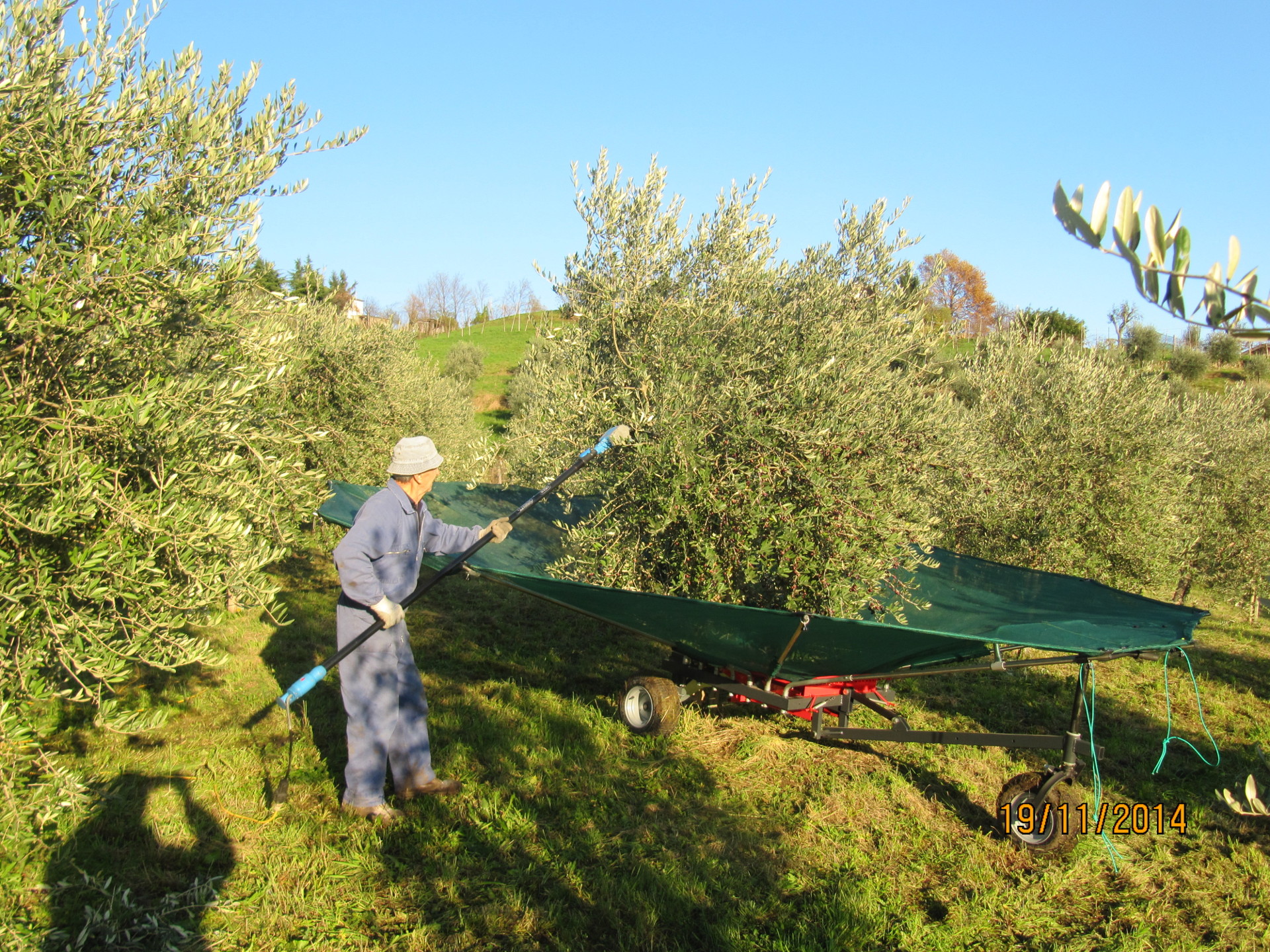 Raccolta ombrello